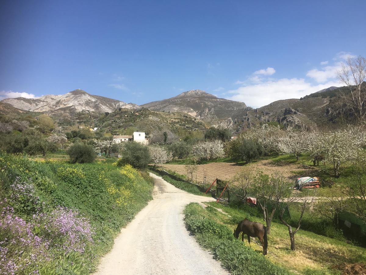 Hotel Rural Fuente La Teja Гуэхар-Сьерра Экстерьер фото